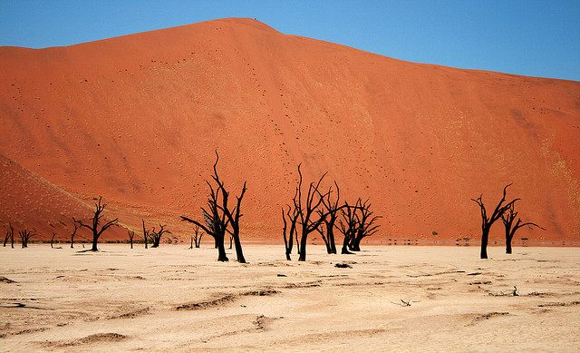 Namib Sand Sea