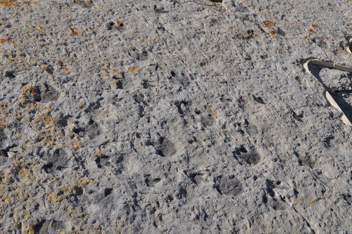 Dinosaur Ridge - Atlas Obscura