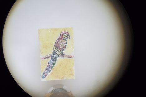 Micro Masterpieces Art Gallery