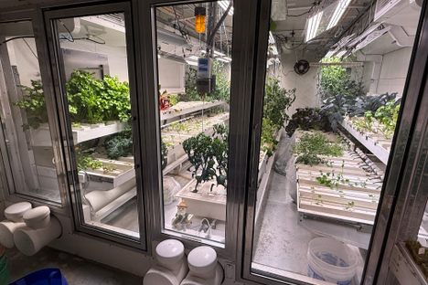 South Pole Growth Chamber
