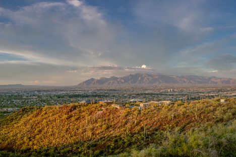 Tumamoc Hill