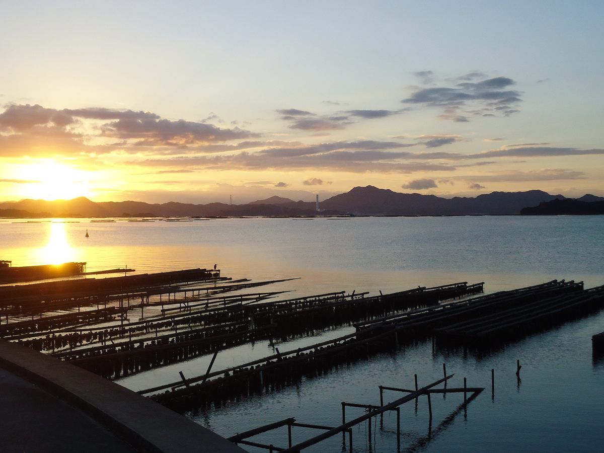"It reminded me of ... the steady sparkle of the sea," wrote chef Maiko Kyogoku of Imada's hattanso-brewed sake.