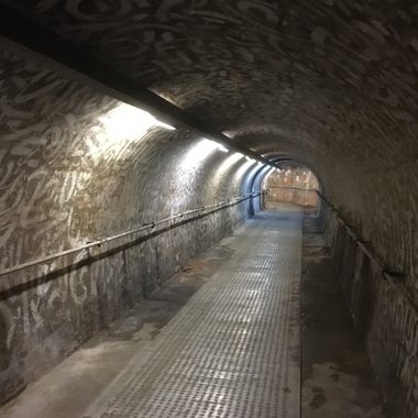 View of one of the walkable tunnels.