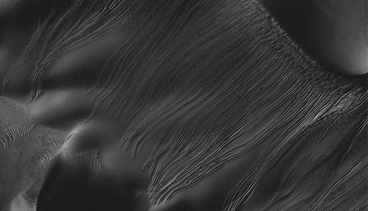The dune gullies on Mars, sometimes called linear gullies, end abruptly, an unusual feature believed to be linked to sublimation.