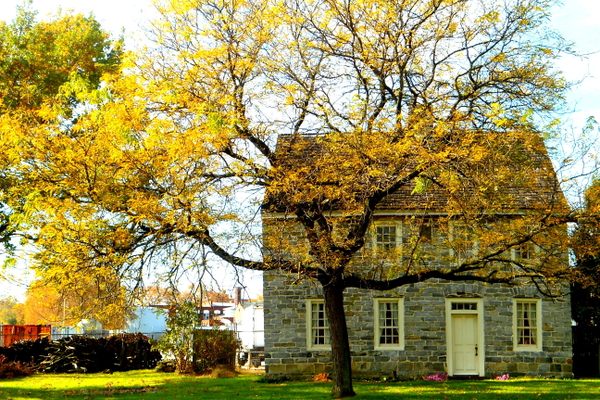 Cookes House