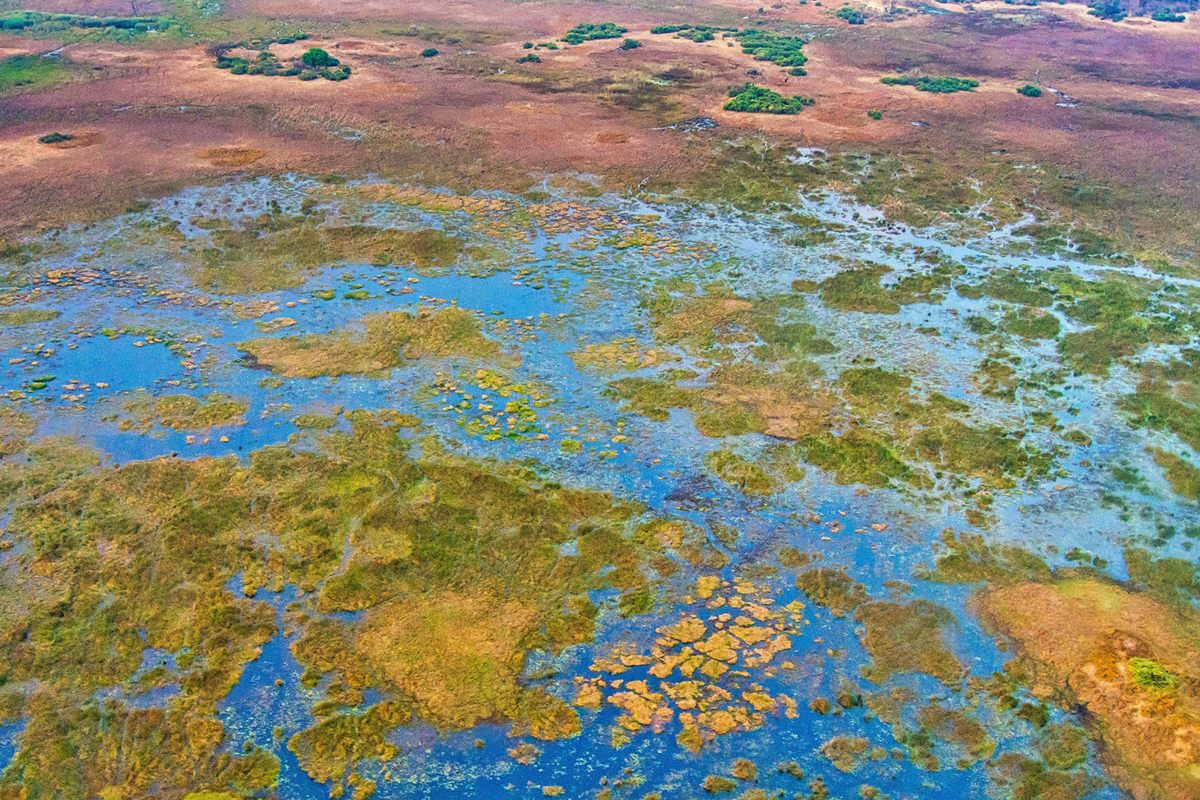 Life-giving floodwaters return to the vast inland Okavango Delta in Botswana after one of the driest seasons in years (May 2020). 