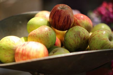 Meet the crisp and tart Gravenstein apple.