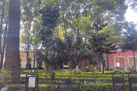 Plaza Valentín Gómez Farías
