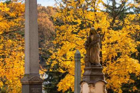 Wildwood Cemetery and Crematorium 