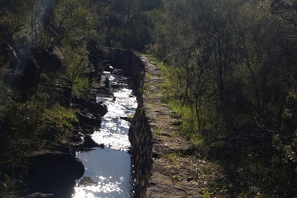 The diversion wall running along Nyaania Creek.