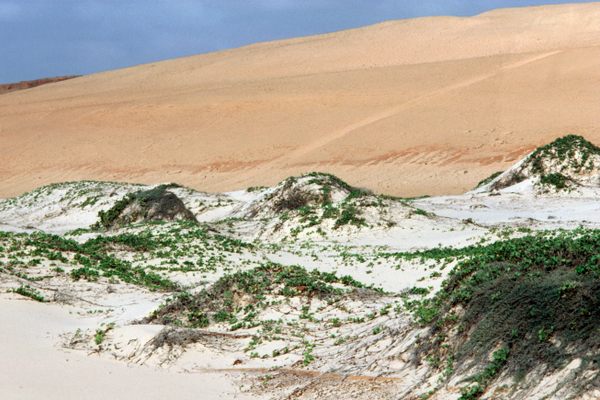 White sand dunes sit in front of red ones in southern Somalia.