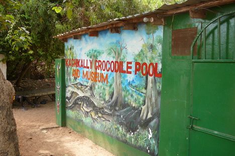 Kachikally Crocodile Pool