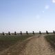 Cadillac Ranch – Amarillo, Texas - Atlas Obscura