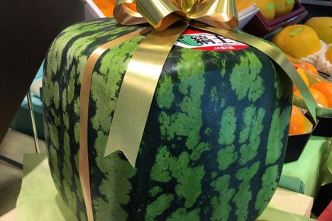 Wrapped in a bow, ready to go.