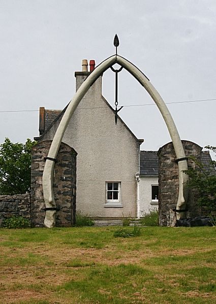 10 Places Where You Can See Whale Bones Outside a Museum - Atlas Obscura