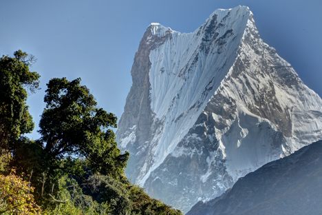 The distinctive split peak inspired the name.