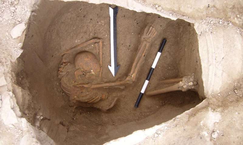 One of the skeletons whose DNA contributed to the study.