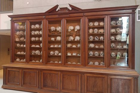 Anatomisch Museum Leiden