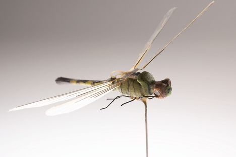 Object of Intrigue: The CIA's Dragonfly Drone
