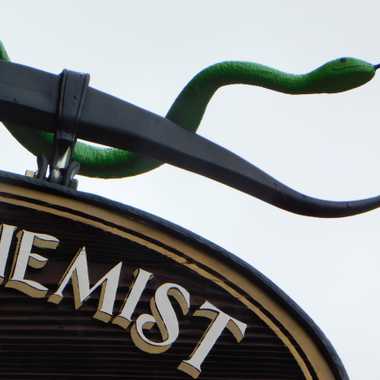 The snake on the sign.