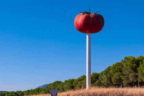 Miajadas Tomato