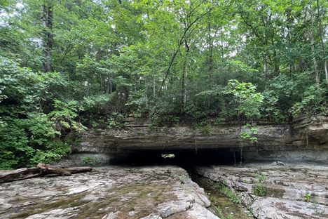 Old Tunnel Mill