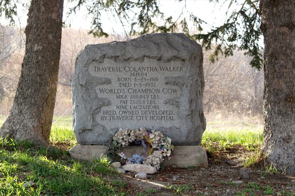 State Hospital Memorial Marker For Traverse Colantha Walker.