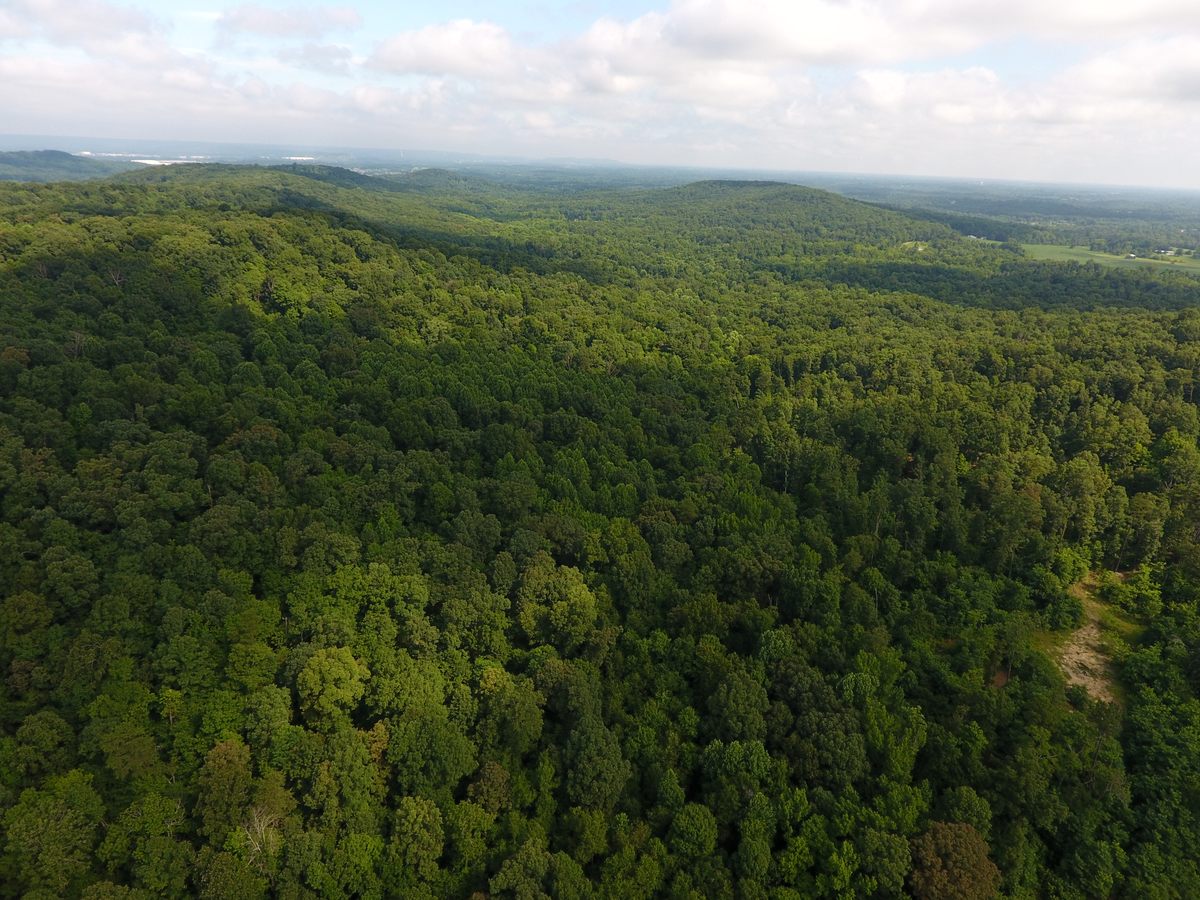 The proposed LG&E pipeline would cut directly through this area.