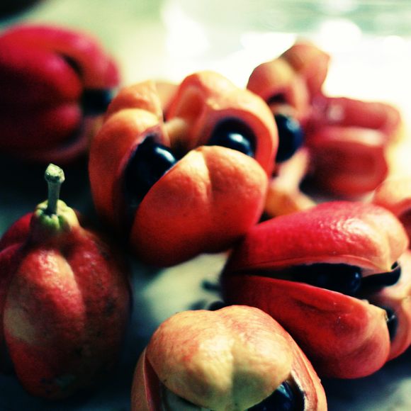The ackee's yellow portion is edible, but the black seeds are toxic.