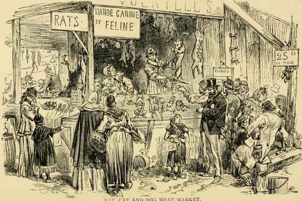 A market where rats, cats, and dogs were sold for eating.
