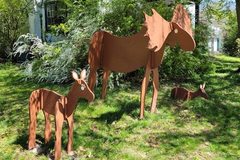 Summertime Mooses