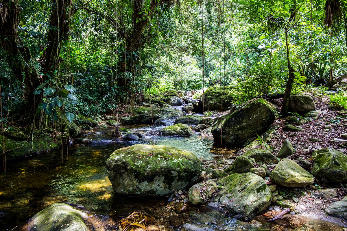 The trail leading to the Lost City is full of rivers that carry water from the snow-topped Sierra Nevada de Santa Marta to the Caribbean sea.