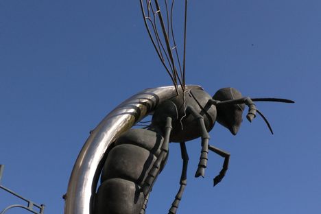 The Watford Hornet.
