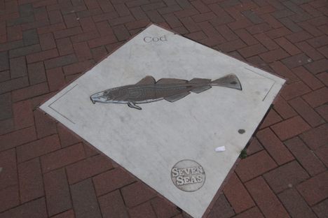 Fish on the trail.
