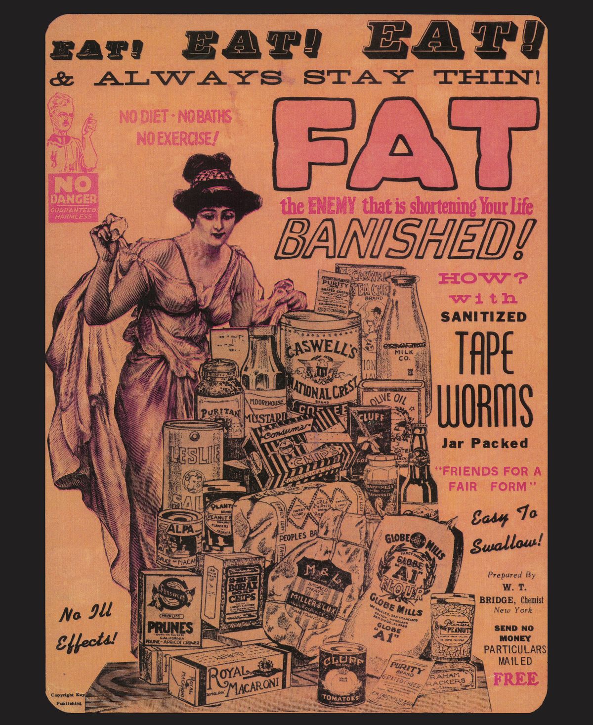 The Horrifying Legacy of the Victorian Tapeworm Diet Gastro Obscura