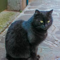 Profile image for MiaB
