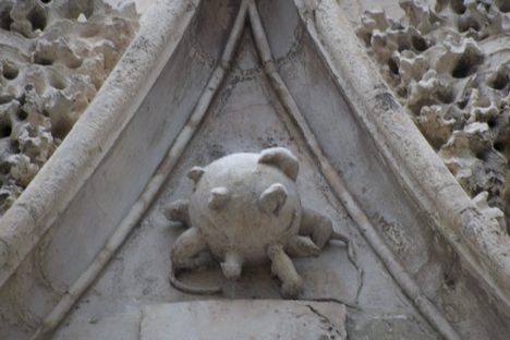 Boules aux rats