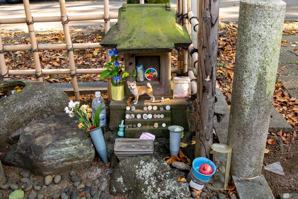 Shrine to Hachikō.