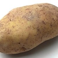 Profile image for potato