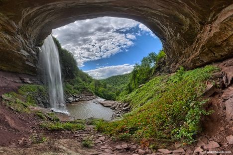 Kaaterskill Falls and the Bayard of Dogs