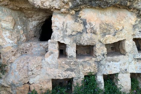 Punico-Roman Apiary