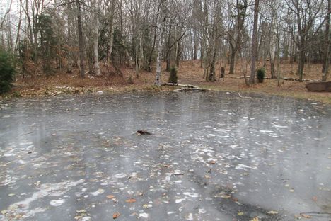 Dead Man's Pond in winter