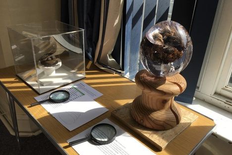 National Poo Museum 