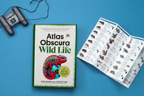 Atlas Obscura: Wild Life: An Explorer's Guide to the World's Living Wonders.
