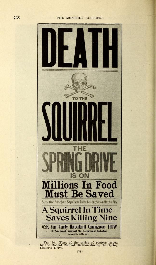 More squirrel notices from California's State Commission of Horticulture.