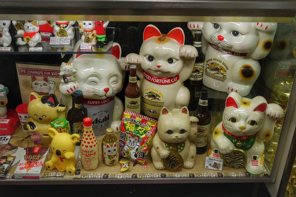 A selection of lucky cats at the Lucky Cat Museum.