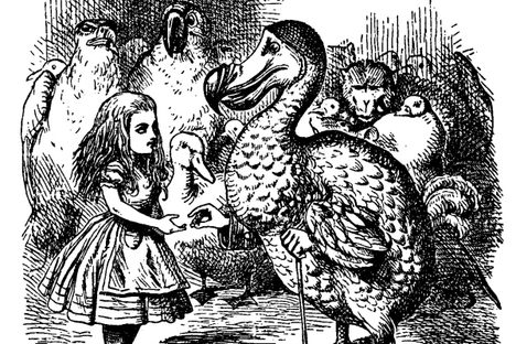 Alice, Oxford, and the Dodo