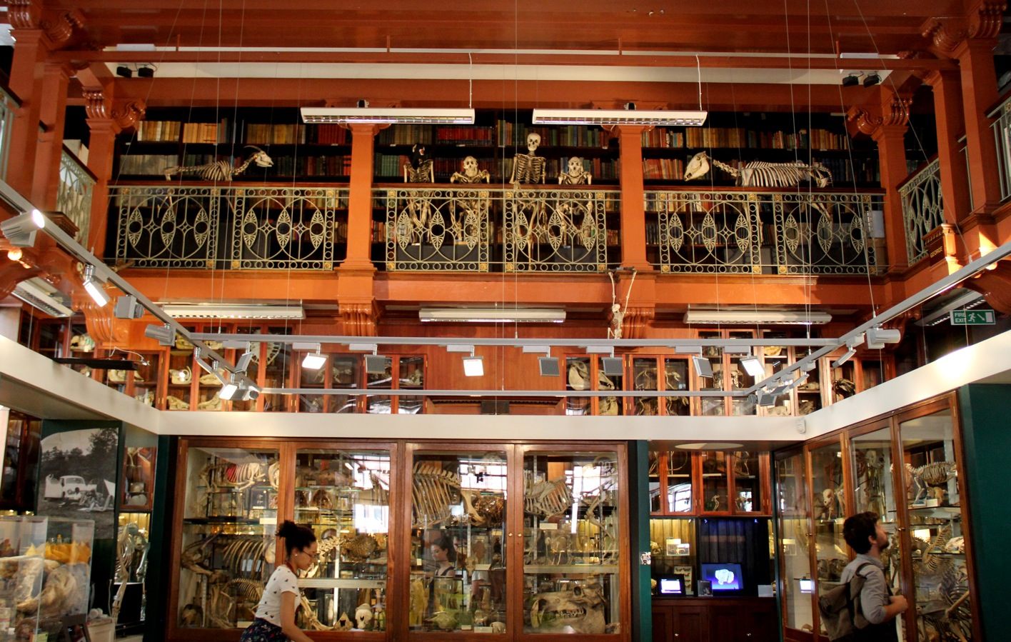 article-image