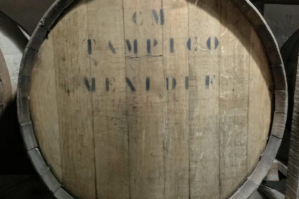 The basement is full of barrels for aging. 