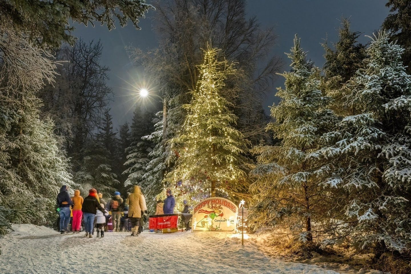 The event started with about 20 decorated trees and has grown every year. 
